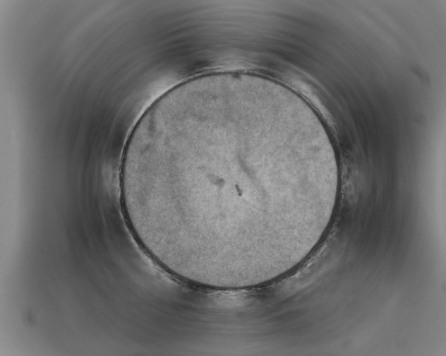 X0000113590810200909251135