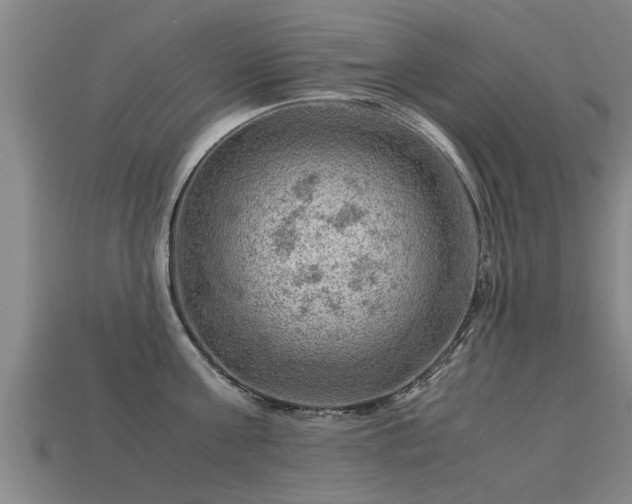 X0000113590811200909251135