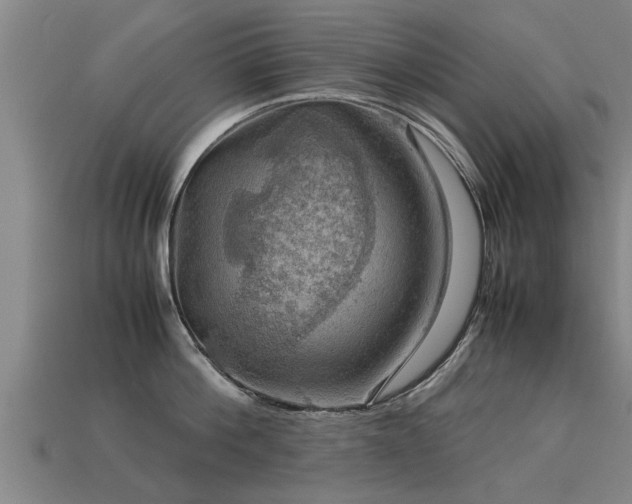 X0000113590812200909251135