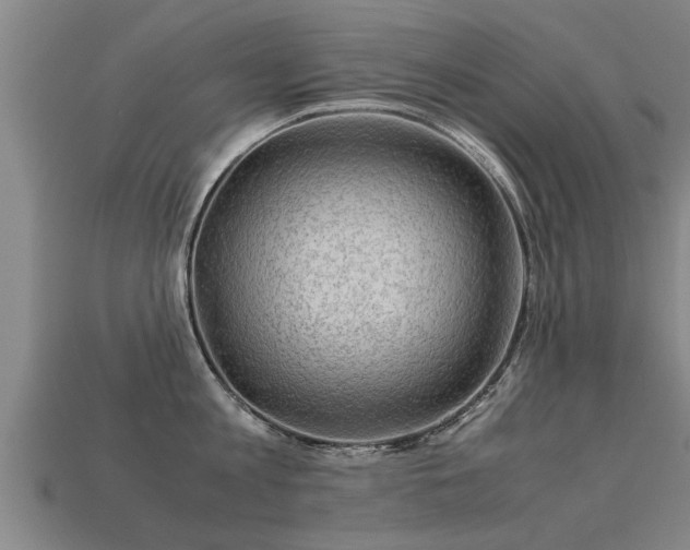 X0000113590813200909251135