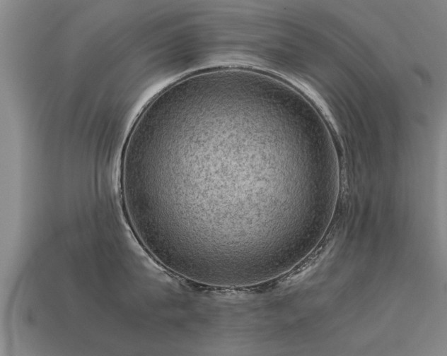 X0000113590815200909251135