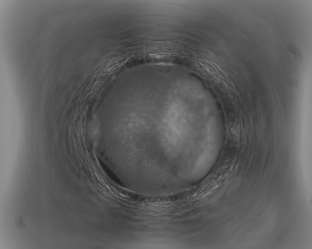 X0000113590817200909251134