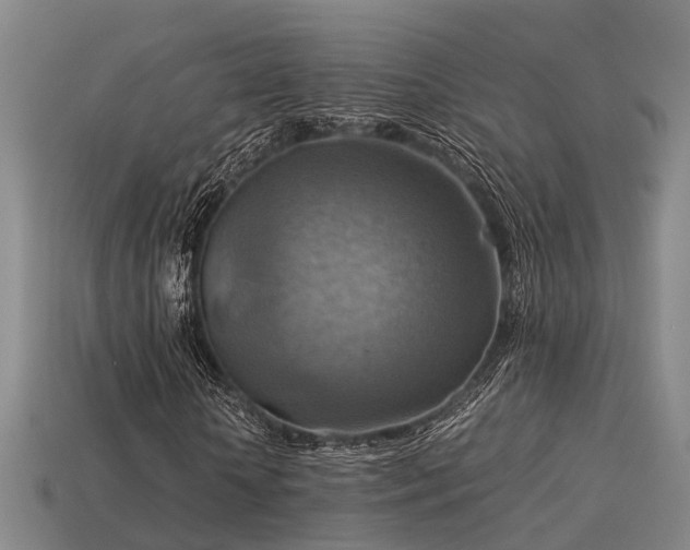 X0000113590818200909251134