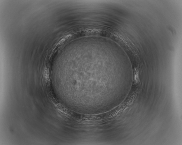 X0000113590819200909251134