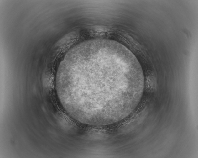 X0000113590820200909251134