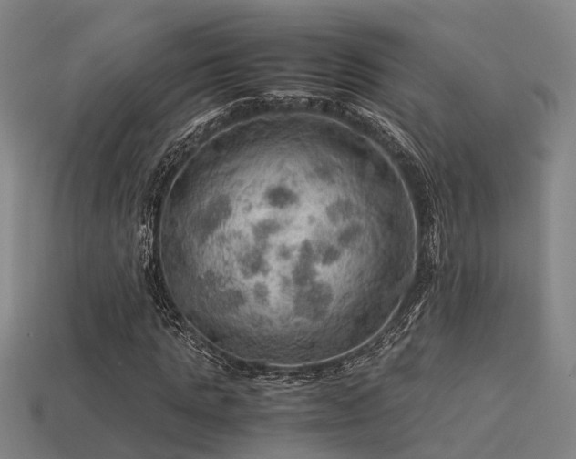 X0000113590821200909251134