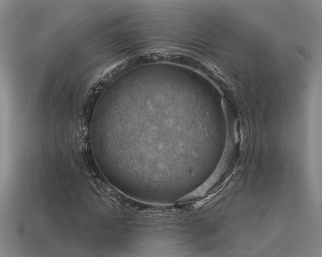 X0000113590822200909251134