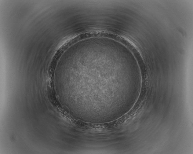 X0000113590823200909251134