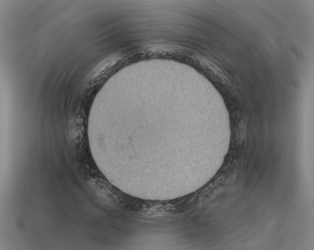 X0000113590824200909251134