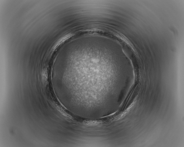 X0000113590826200909251134