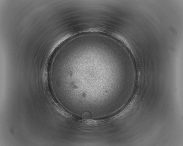 X0000113590827200909251134