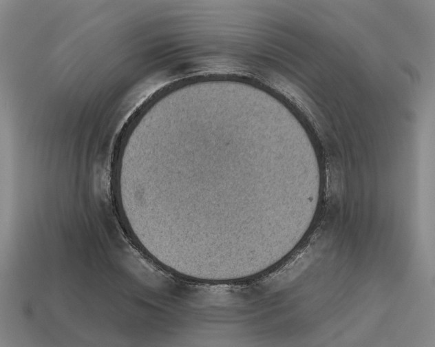 X0000113590828200909251134