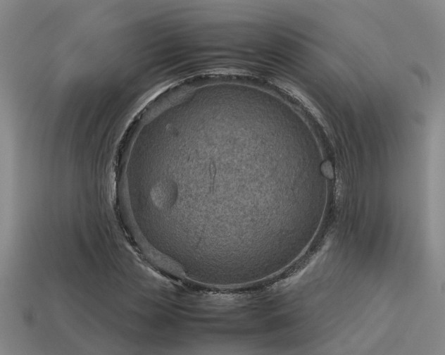 X0000113590829200909251134