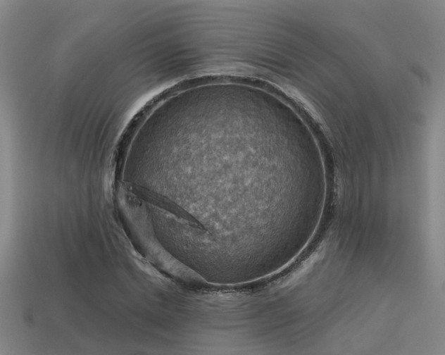 X0000113590830200909251134