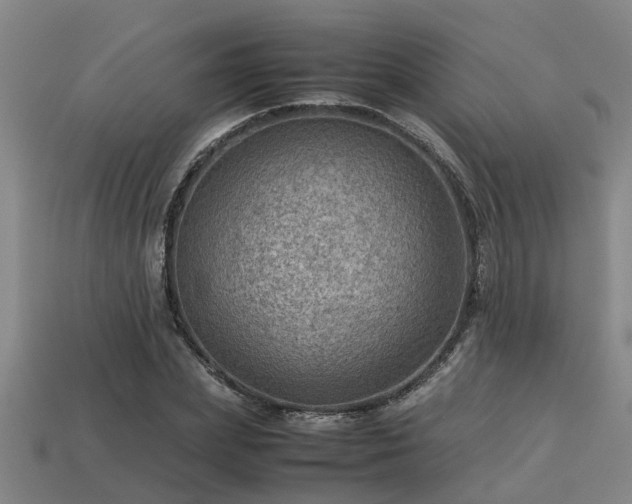 X0000113590831200909251134