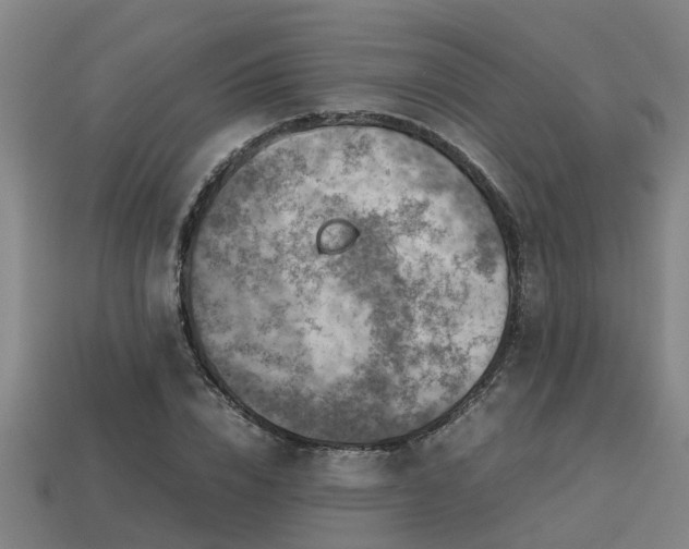 X0000113590832200909251134