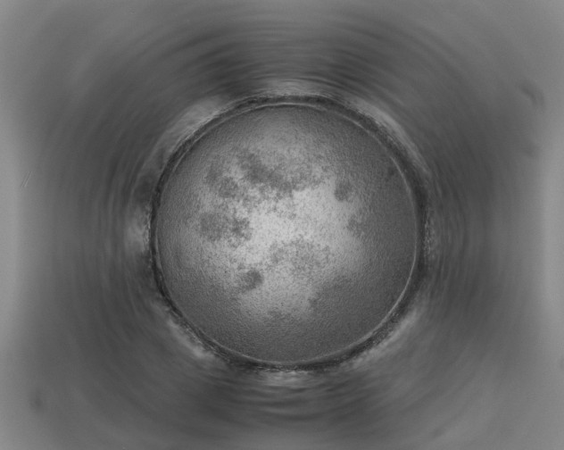 X0000113590833200909251134