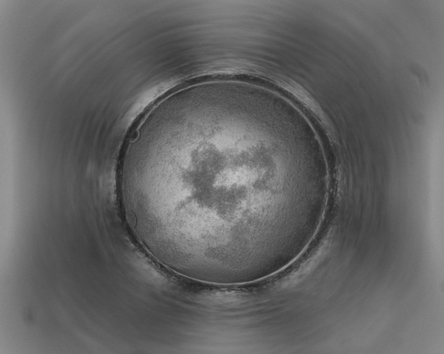 X0000113590834200909251134