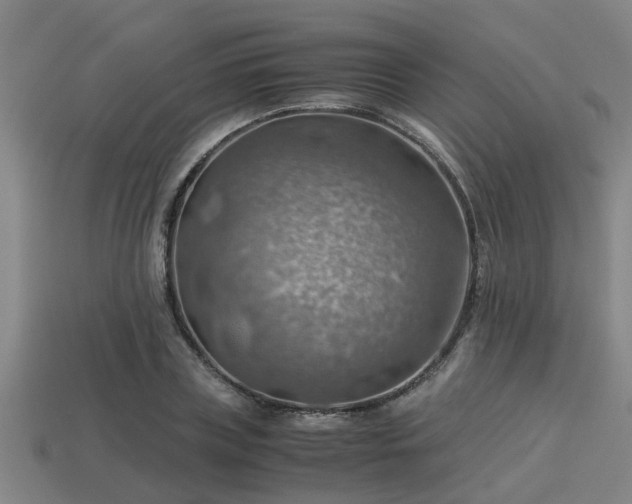 X0000113590835200909251134