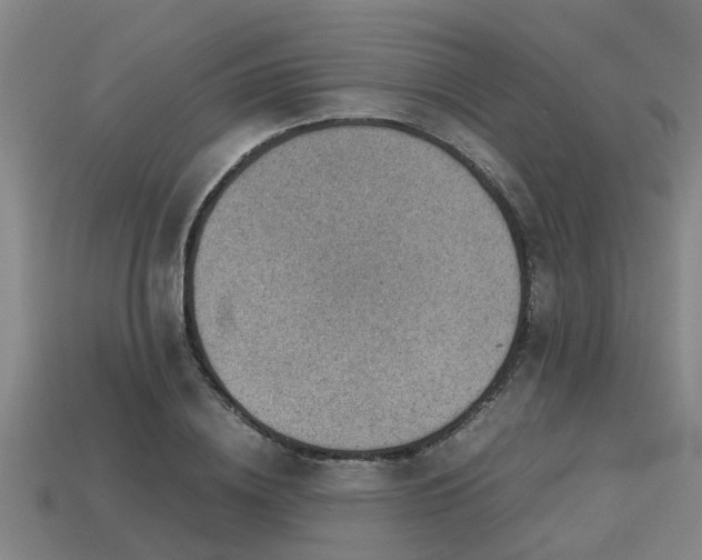 X0000113590836200909251134