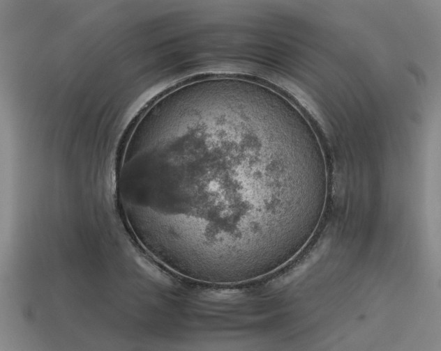 X0000113590837200909251134