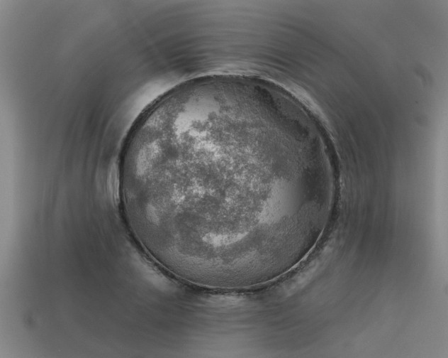 X0000113590838200909251134