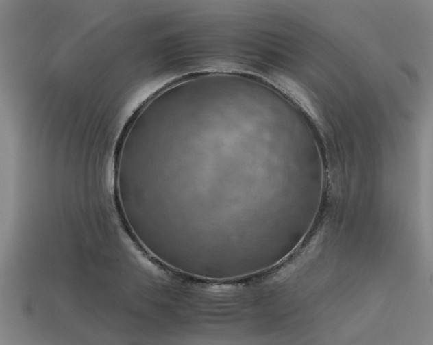 X0000113590839200909251134