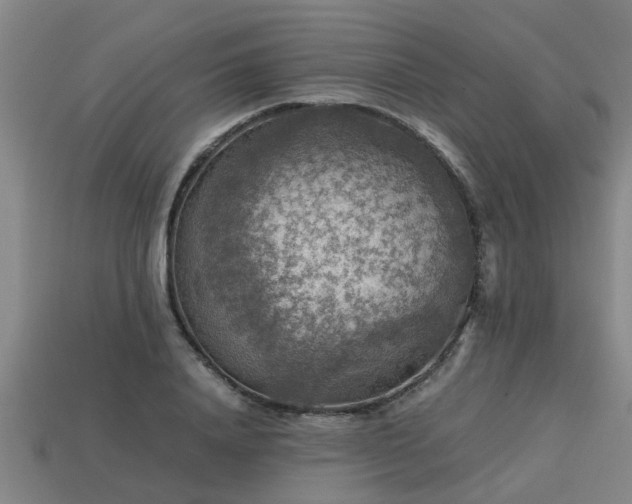 X0000113590840200909251134