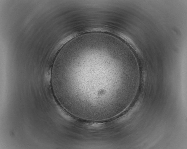 X0000113590841200909251134