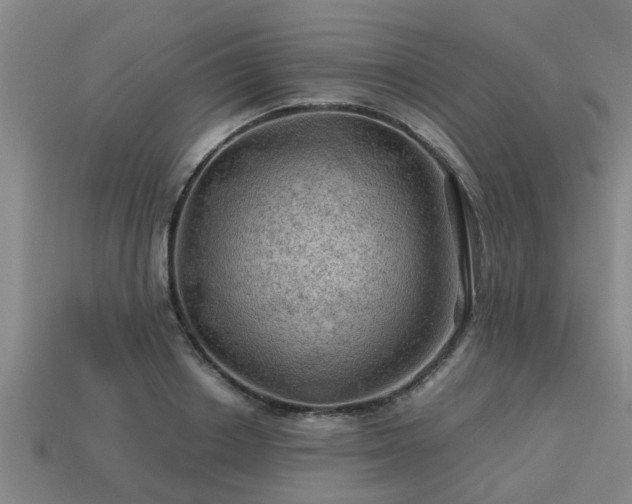 X0000113590842200909251134