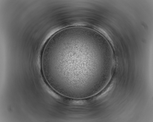 X0000113590843200909251134