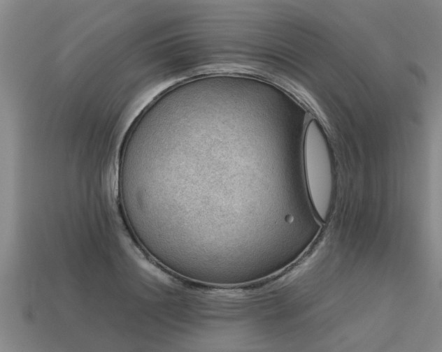 X0000113590844200909251134