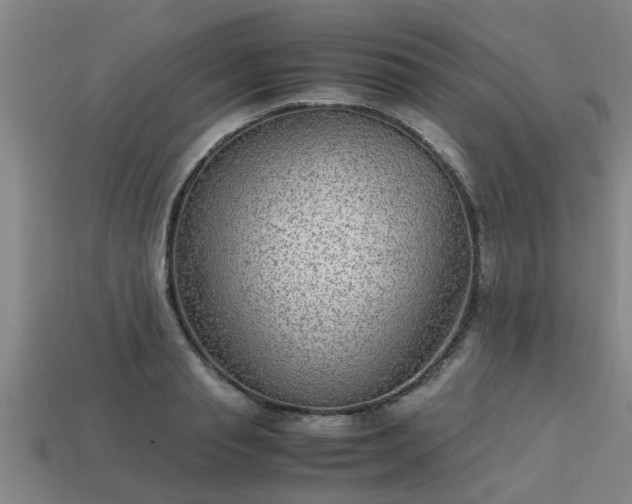 X0000113590845200909251134