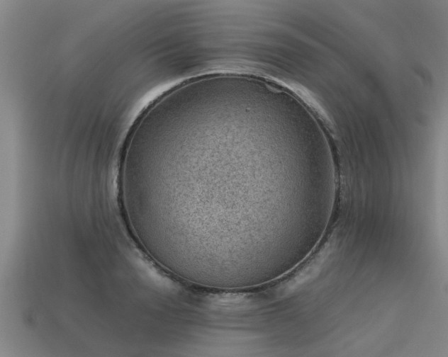 X0000113590846200909251134