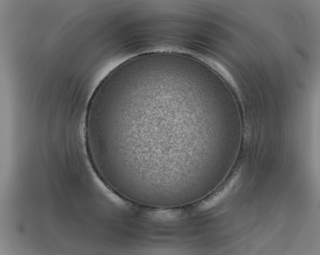 X0000113590847200909251134