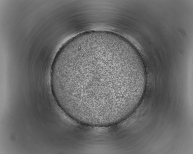 X0000113590848200909251134