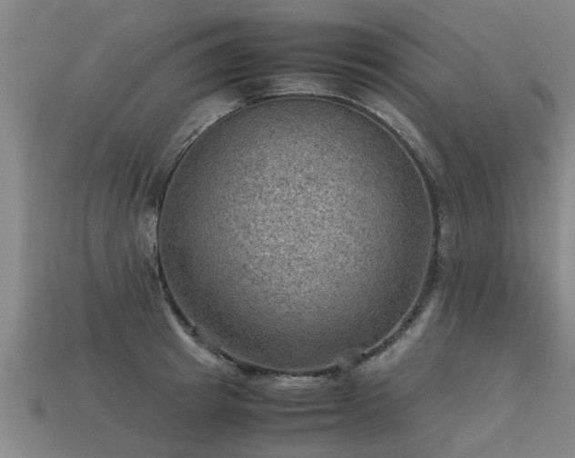 X0000113590849200909251134