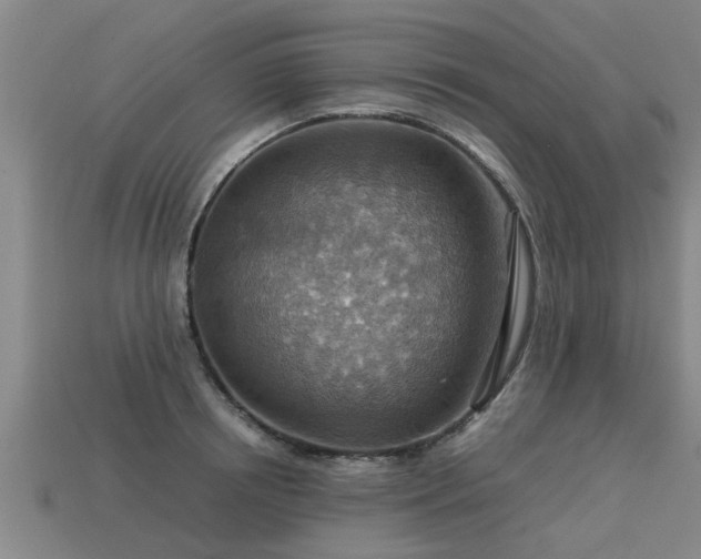 X0000113590850200909251134