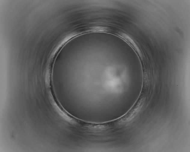 X0000113590851200909251134