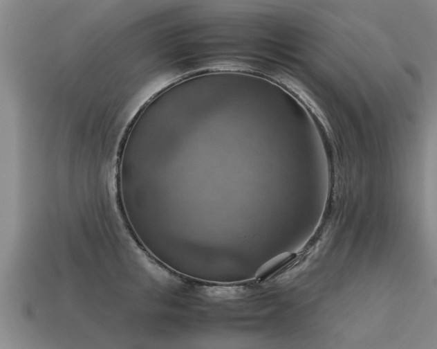 X0000113590853200909251134