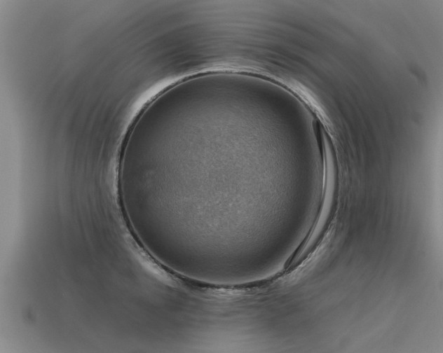 X0000113590854200909251134