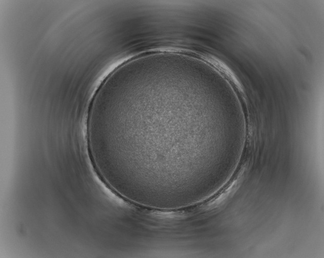 X0000113590855200909251134