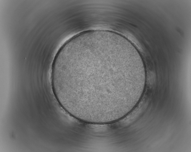 X0000113590856200909251134