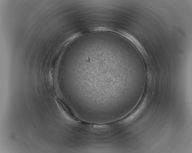 X0000113590857200909251134