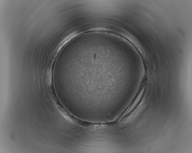 X0000113590858200909251134