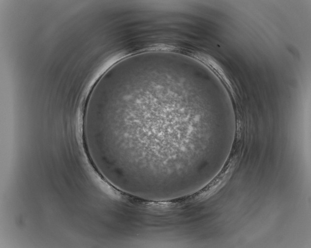 X0000113590859200909251134