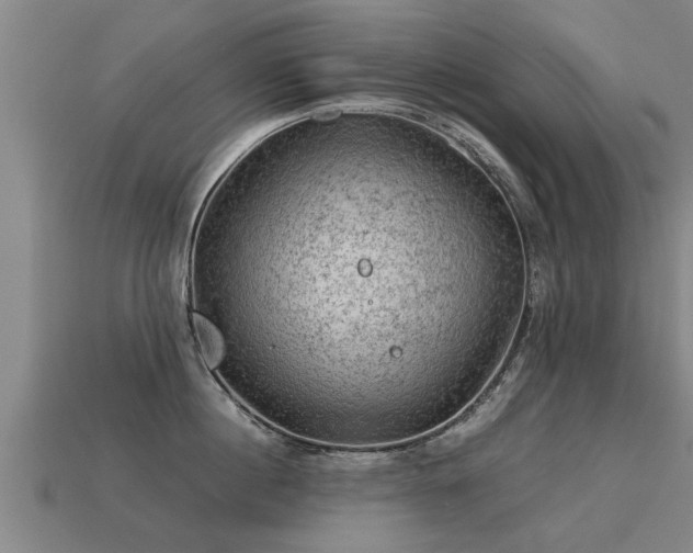 X0000113590860200909251134