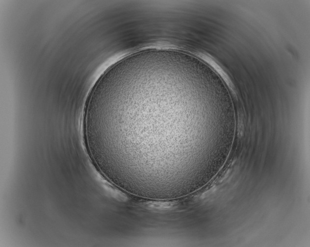 X0000113590861200909251134