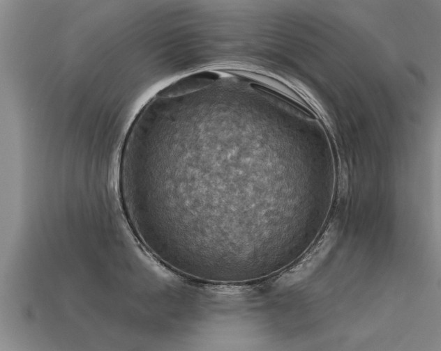 X0000113590862200909251135