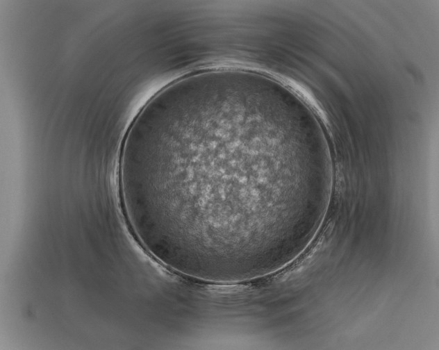 X0000113590863200909251135